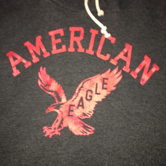American Eagle Outfitters classic fit hoodie - Picture 3 of 4